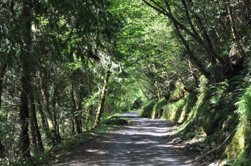 Old Fort Lodge Sligo Eksteriør bilde